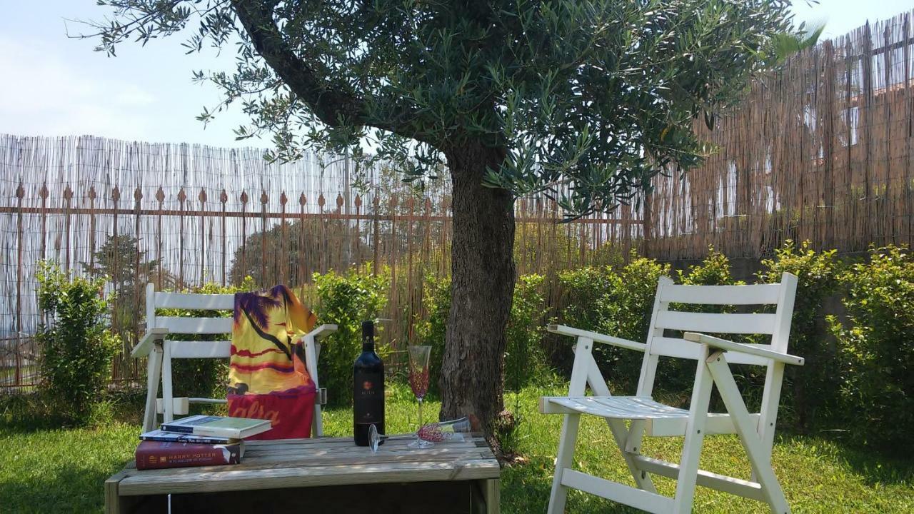 Apartamento Etna Winery Zafferana Etnea Exterior foto